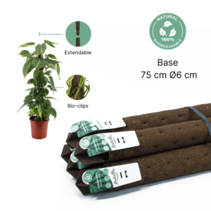 Kratiste Climbing Pole 75 cm 60 mm (14 pcs/box)