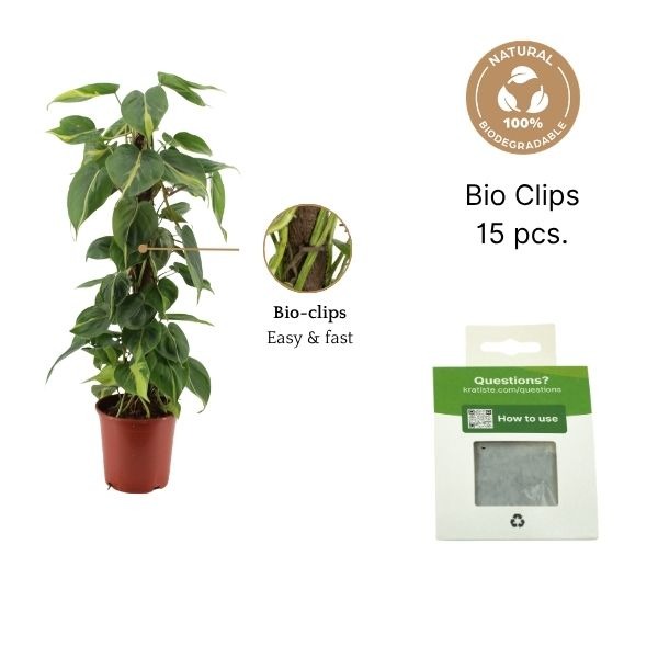 BIO Clips (voor klimstok)