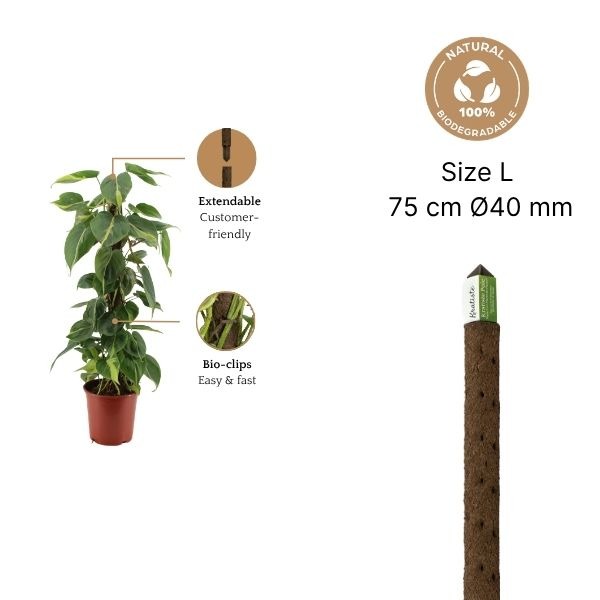 Klimstok 75 cm / 40 mm