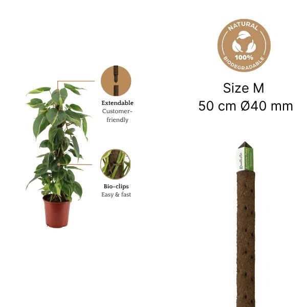 Klimstok 50 cm / 40 mm