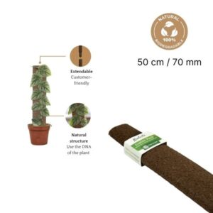 BIO Klimplank 50 cm / 80 mm