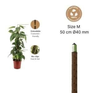 Kratiste®-Climbing-Pole-M-50-cm